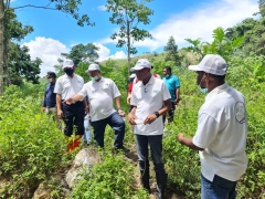 Penanaman Pohon Bersama Pak Walikota Jayapura dan Ketua Dewan Pengawas